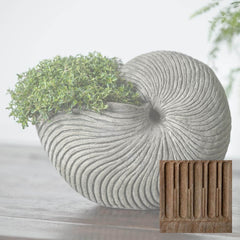 Campania Ammonite Planters