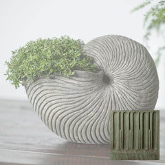 Campania Ammonite Planters