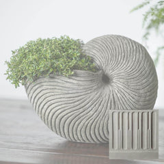 Campania Ammonite Planters