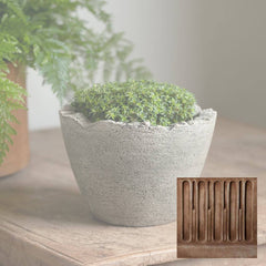 Campania Broken Egg Planter Mini