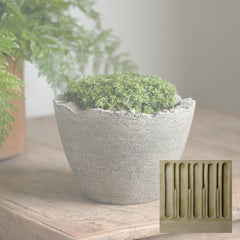 Campania Broken Egg Planter Mini