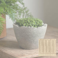 Campania Broken Egg Planter Mini