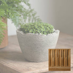 Campania Broken Egg Planter Mini