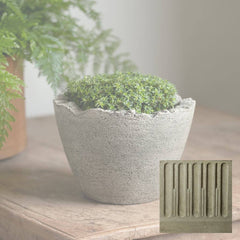 Campania Broken Egg Planter Mini