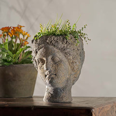 Campania Claudia Planter