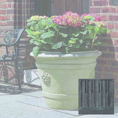 Campania Certosa Medallion Planter