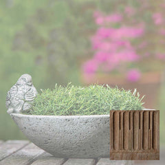 Campania Aurielle Planter