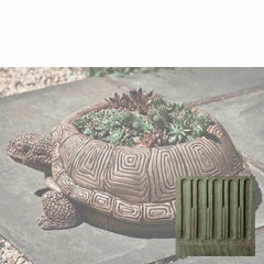 Campania Turtle Planters