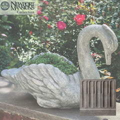 Campania Newport Swan