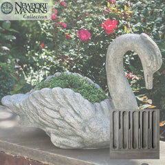 Campania Newport Swan