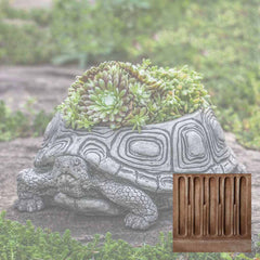 Campania Turtle Planters