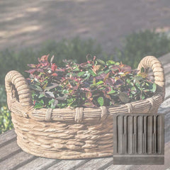 Campania Provencal Basket Planter