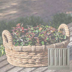 Campania Provencal Basket Planter