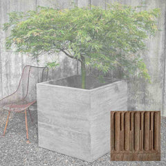 Campania Chenes Brut Planters