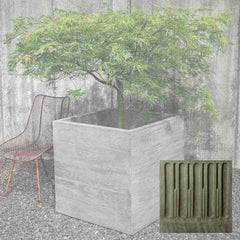Campania Chenes Brut Planters
