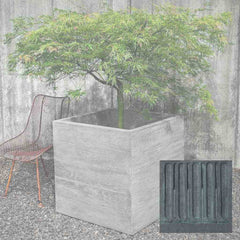 Campania Chenes Brut Planters