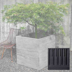 Campania Chenes Brut Planters