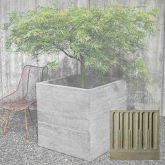 Campania Chenes Brut Planters