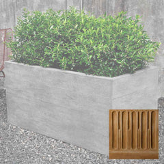 Campania Chenes Brut Planters