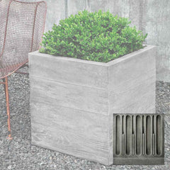 Campania Chenes Brut Planters