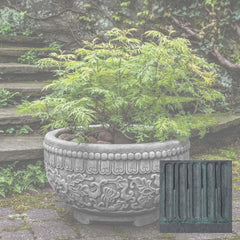 Campania Jaipur Bowl
