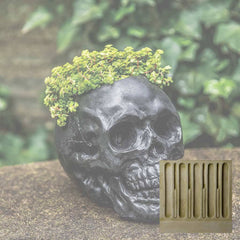 Campania Skull Planter