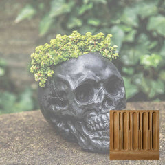 Campania Skull Planter