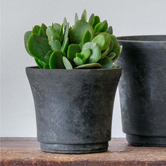 Cloche Planter - Large - Brown