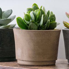 Cloche Planter - Large - Brown