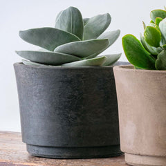 Cloche Planter - Large - Brown