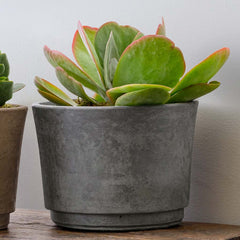 Cloche Planter - Large - Brown