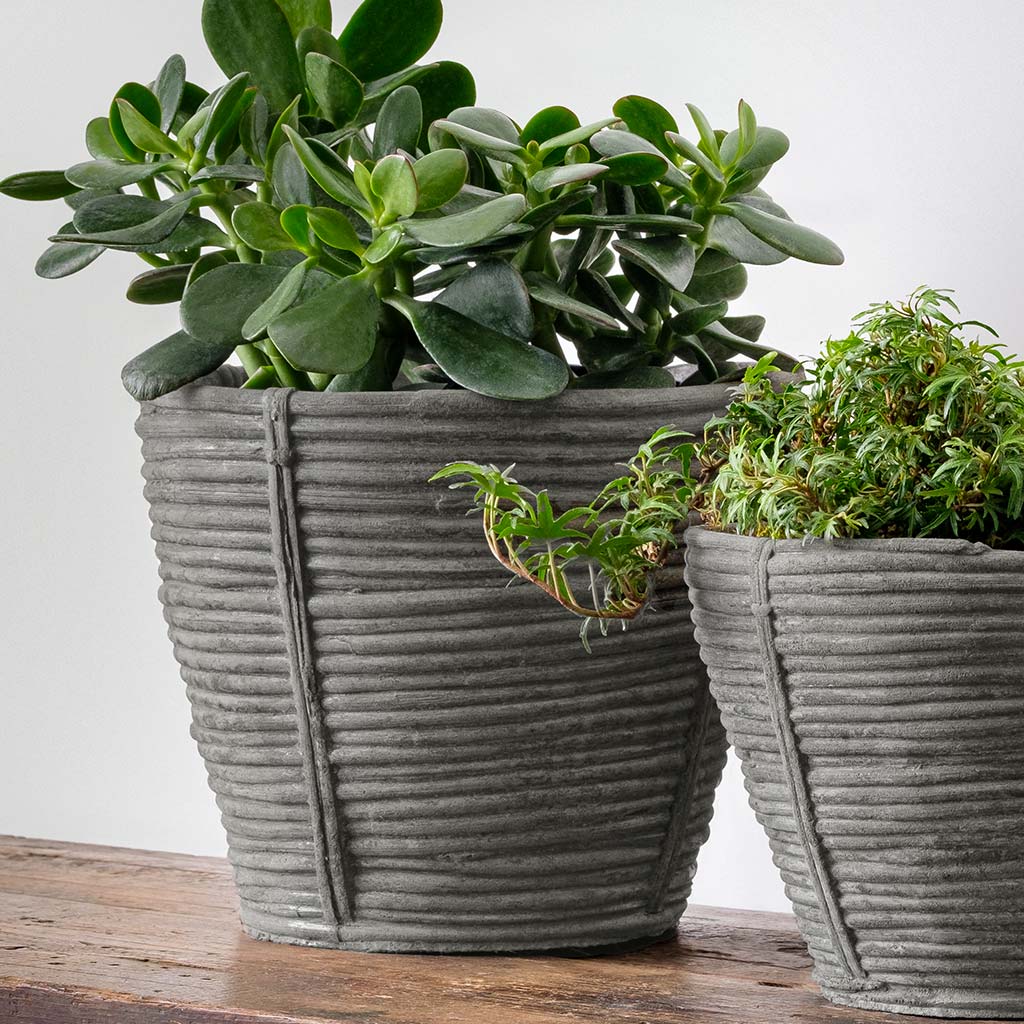 Reed Planter - Large - Grey