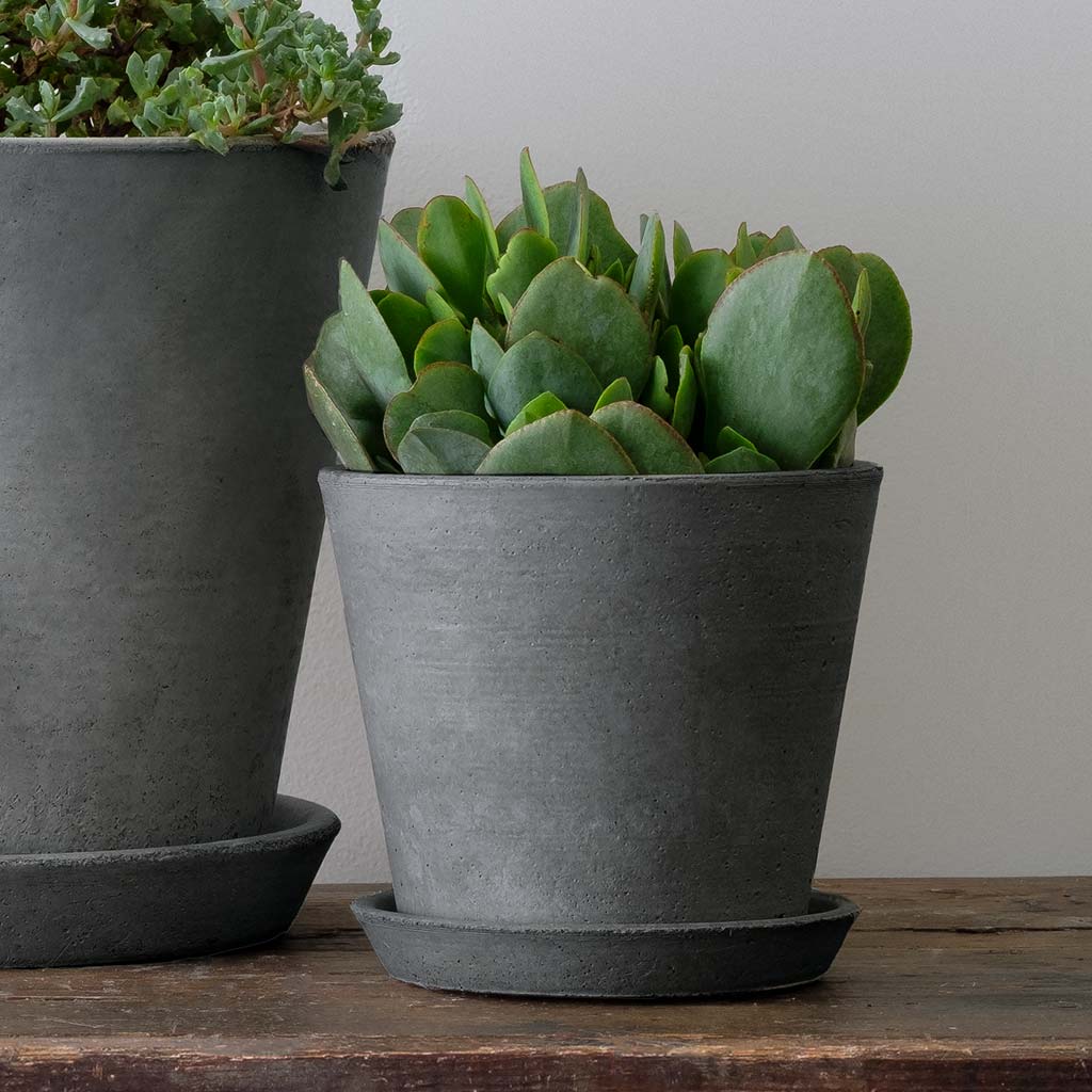 Campania Essential Planter