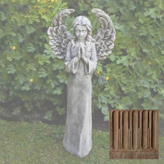 Campania Fiona's Angel