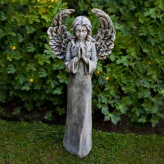 Campania Fiona's Angel