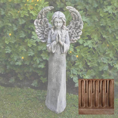 Campania Fiona's Angel