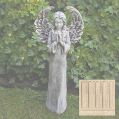 Campania Fiona's Angel