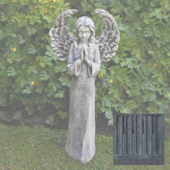 Campania Fiona's Angel