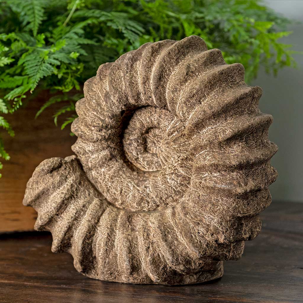 Photo of Campania Sea Ammonite - Marquis Gardens