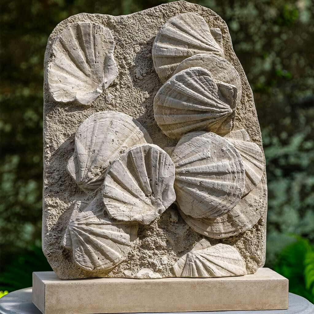 Campania Scallop Shell Fossil
