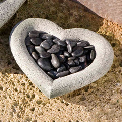 Campania Heart Shell
