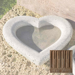 Campania Heart Shell