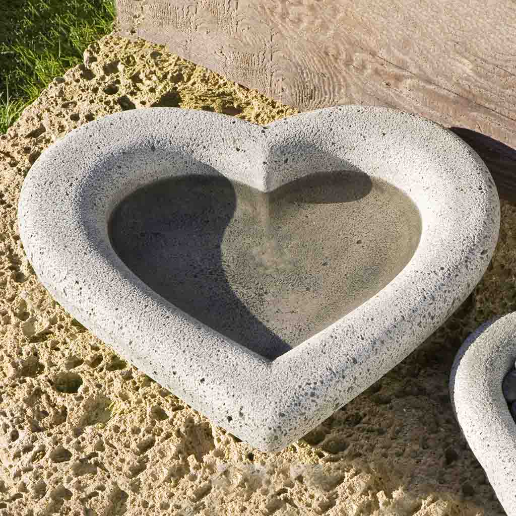 Campania Heart Shell