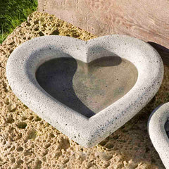 Campania Heart Shell
