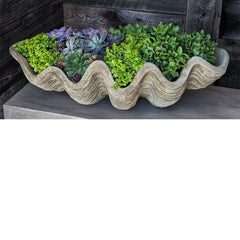 Campania South Seas Shell Planter - Large