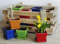 Photo of Campania Garden Terrace Brights Crate - Exclusively Campania