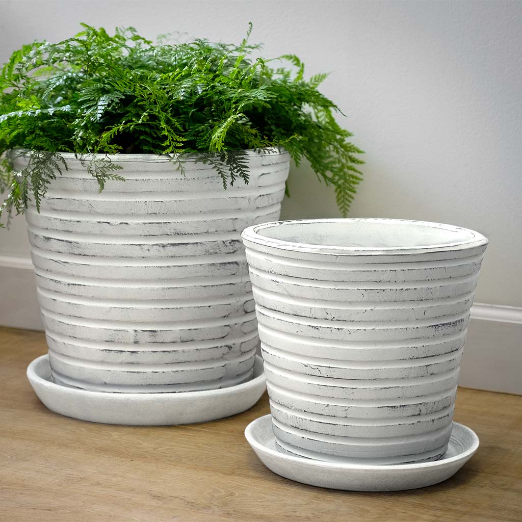 Photo of Campania Channel Planter - Whitewash - Set of 4 - Exclusively Campania