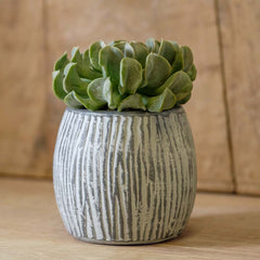 Photo of Campania Coconut Planter - Grey and Whitewash - Set of 6 - Exclusively Campania