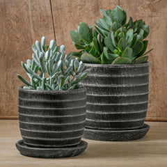 Photo of Campania Parallel Planter Set of 8 - Exclusively Campania