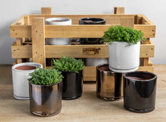 Photo of Campania Small Cylinder Planter Crate Set of 16 - Exclusively Campania